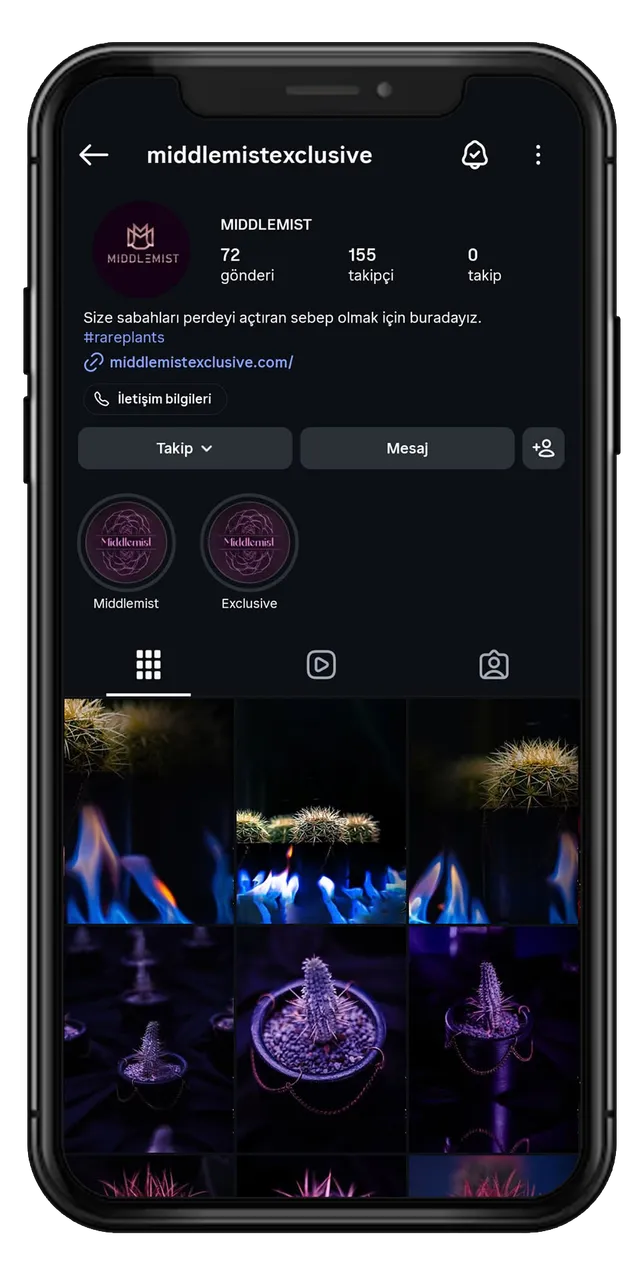 Middlemist Exclusive — Instagram